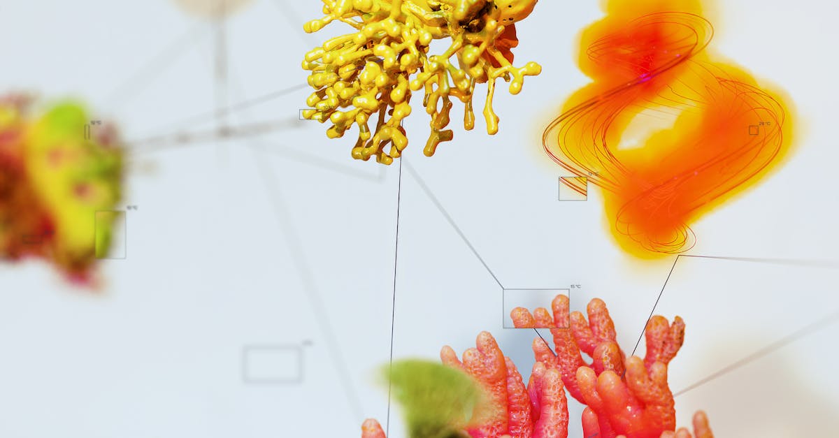 How Personalization and Customization Shape the Future of AI